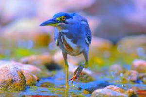 意甲联赛频道,全面解析与深度洞察意甲联赛频道